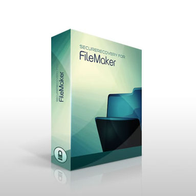 FileMaker Pro Database Repair